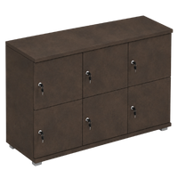 Signature 2 Door Wooden Locker (Nest of 3)