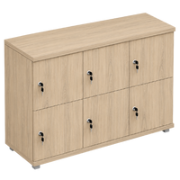 Signature 2 Door Wooden Locker (Nest of 3)