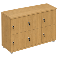 Signature 2 Door Wooden Locker (Nest of 3)