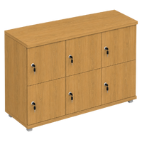 Signature 2 Door Wooden Locker (Nest of 3)