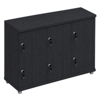 Signature 2 Door Wooden Locker (Nest of 3)