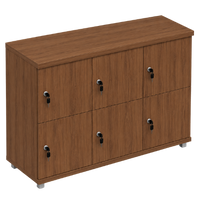 Signature 2 Door Wooden Locker (Nest of 3)
