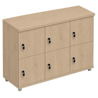 Signature 2 Door Wooden Locker (Nest of 3)