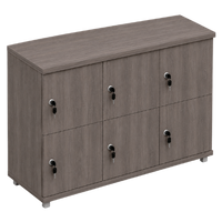 Signature 2 Door Wooden Locker (Nest of 3)
